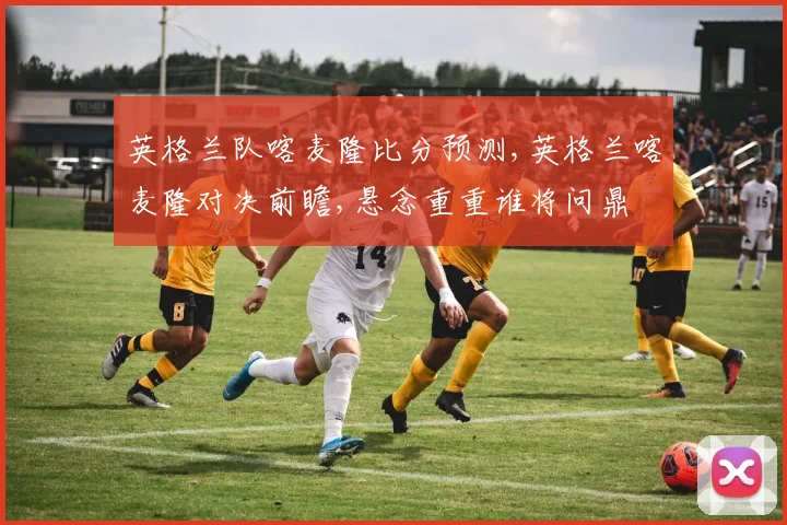 英格兰队喀麦隆比分预测,英格兰喀麦隆对决前瞻,悬念重重谁将问鼎