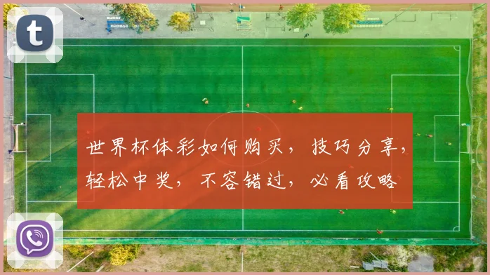 世界杯体彩如何购买，技巧分享，轻松中奖，不容错过，必看攻略