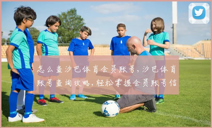 怎么查沙巴体育会员账号,沙巴体育账号查询攻略,轻松掌握会员账号信息