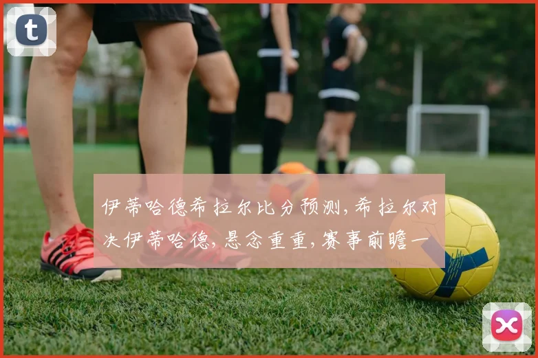 伊蒂哈德希拉尔比分预测,希拉尔对决伊蒂哈德,悬念重重,赛事前瞻一触即发,比分几何