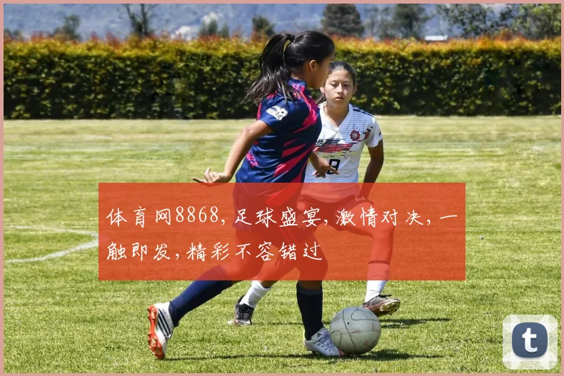 体育网8868,足球盛宴,激情对决,一触即发,精彩不容错过